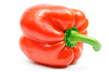 red Bell Pepper