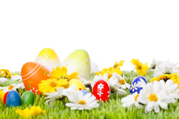 easter eggs on meadow before white