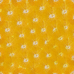 seamless orange background from slices of juicy oranges