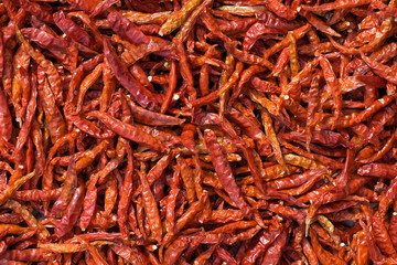 Red chili peppers drying
