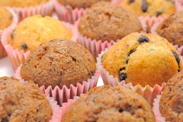 Chocolate and Chocolate Chip Muffins