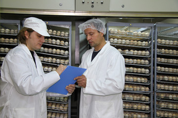 Fototapeta na wymiar Rolnicy pracujący w inkubatorze, jaja kurze