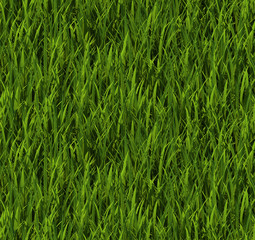 Tiling texture – Grass