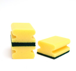 yellow-green sponges