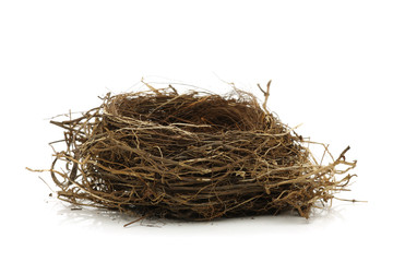 Empty bird nest - 38061335