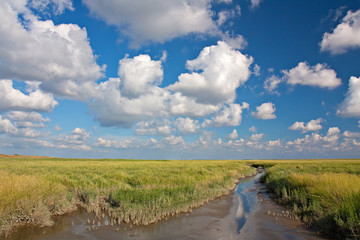 Salzwiese mit Priel und Wolkenhimmel bei Sankt Peter-Ording