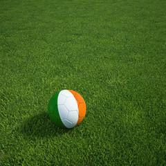 Fototapeta na wymiar Irish gerian soccerball lying on a grass field