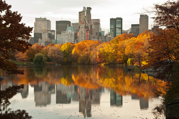 Fall dawn in Central Park, New York City