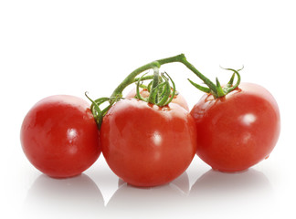tomatos on white background