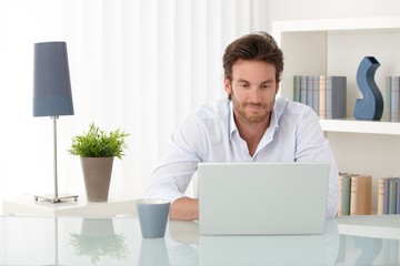 Handsome man with computer at home