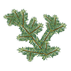Obraz premium Christmas concept branch fir tree mesh