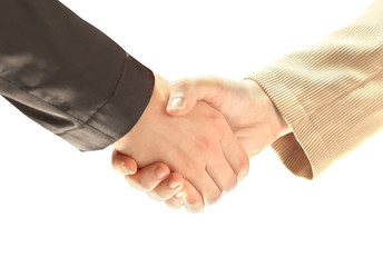 businessman's hand shaking white businessman's