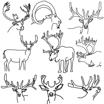 A set of deer, elk, and goats