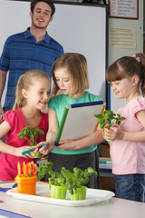 Girls learning about plants in school class