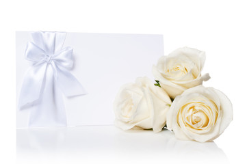 Roses on a white background