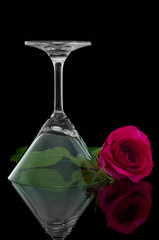 Rose and overturn empty cocktail glass