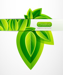 Vector nature leaves background