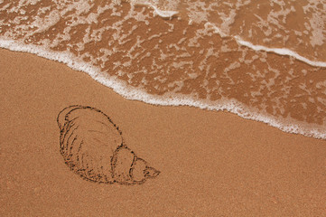 Shell drawn in the sand