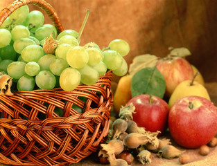 still-life