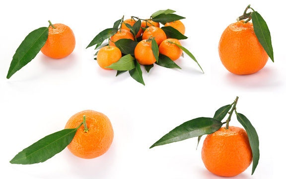 Clementine con foglie - collage