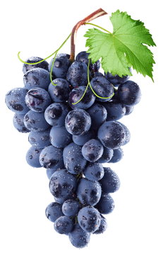 Grapes © volff