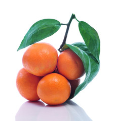 tangerines