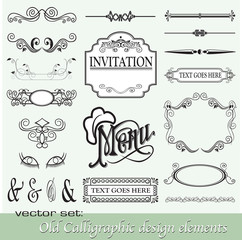 Calligraphic design elements 15