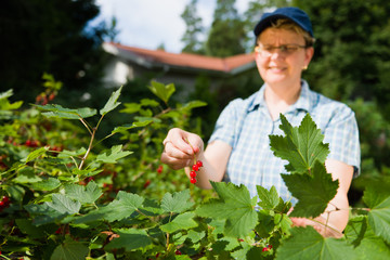 Woman and redcurrant