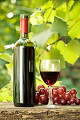 Red wine bottle, glass and bunch of grapes