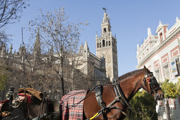 Obraz premium carriage in Giralda