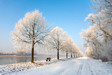 Ein Wintertag am Rhein