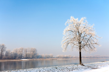 Ein Wintertag am Rhein