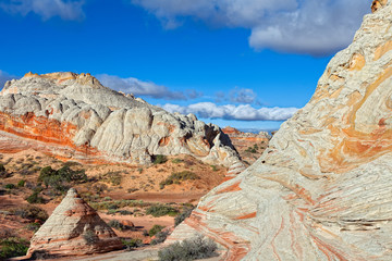 AZ-Paria Plateau-White Pocket