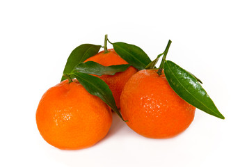 Clementinen