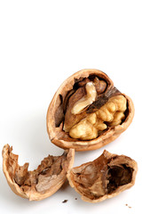 walnut