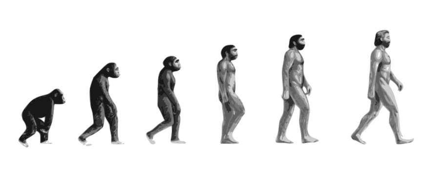 Evolution de l'homme n&b