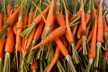 Fresh carrots on a market stall