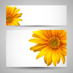 Flower vector background templates