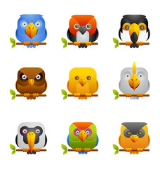 Birds Icon 2