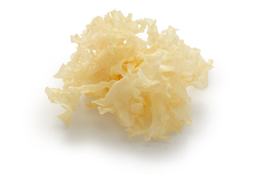 snow fungus, traditional chinese herbal medicine