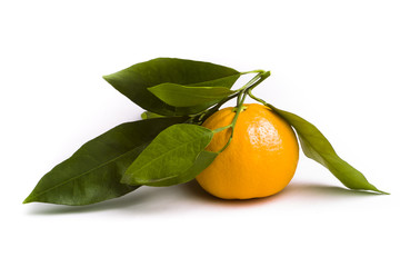 Orange with leafs