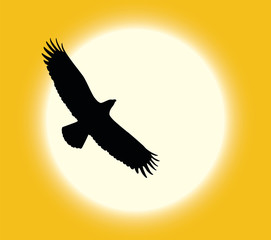 Obraz premium Vector silhouette of flying eagle on sun background