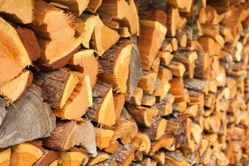 Pile of wood logs in farm house