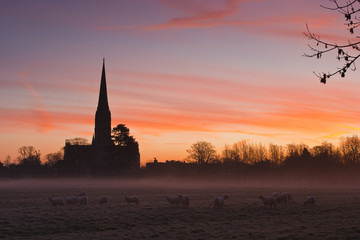 Obraz premium Salisbury cathedral on a winter morning