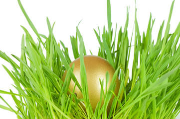 Fototapeta premium Gold egg in a green grass