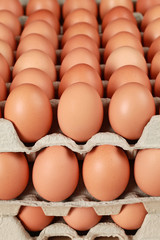 Eier gestapelt in Schachteln