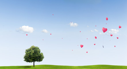 Linden Tree on a meadow with heart balloons