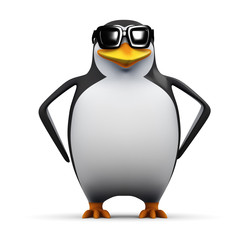 3d Penguin stands proud in his sunglasses
