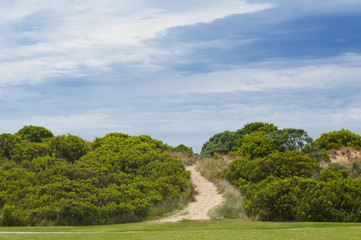 Great Ocean Road - Apollo bay - Australie