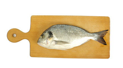 Fototapeta premium fish